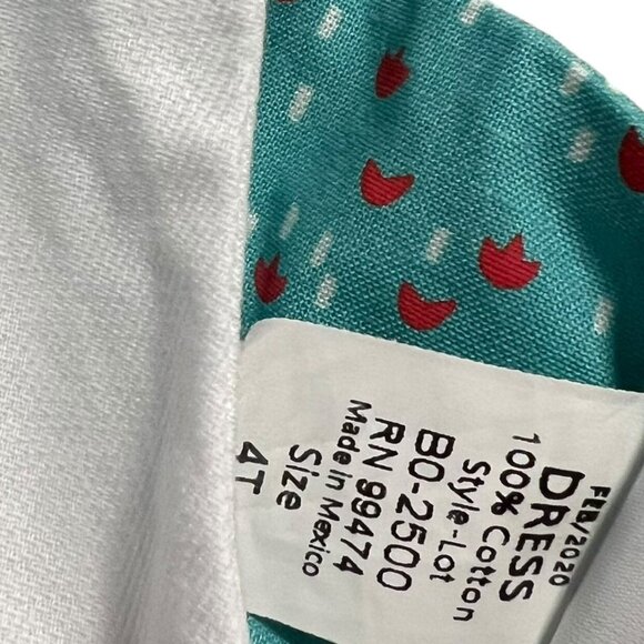 Ricrac & Ruffles 4T Turquoise Floral Dress - Picture 5 of 5